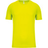 Fluorescent Yellow