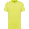 Fluorescent Yellow