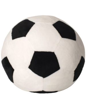 BALLON DE FOOT ZIPPÉ