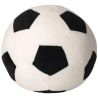 BALLON DE FOOT ZIPPÉ
