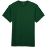 Sport Dark Green