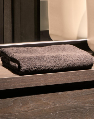 ESSUIE-MAINS 50X100 CMTO5503SG accessories Towel