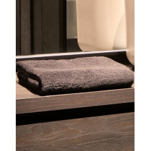 ESSUIE-MAINS 50X100 CMTO5503SG accessories Towel