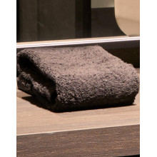 SERVIETTE INVITÉ 30X50 OU 40X60CMTO5505SG accessories Towel