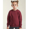 SWEAT-SHIRT PREMIUM POUR ENFANTS62-031-0Fruit of the Loom