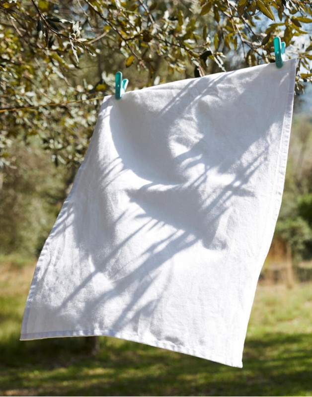 TORCHONSW701Westford Mill