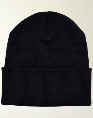 BONNET REVERS THINSULATE1535THFlexfit