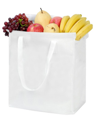 SAC ISOTHERME LÉGERSH4084Shugon