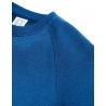 Kids` Authentic Raglan Sweat