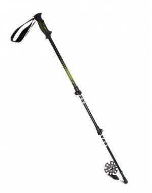 Bâton de trekking télescopique