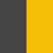 PA015-Black / Sporty Yellow