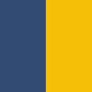 PA015-Dark Royal Blue / Sporty Yellow
