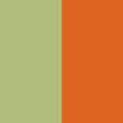 PA046-Lime / Spicy Orange