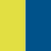 PA048-Fluorescent Yellow / Sporty Royal Blue