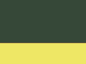 556-Paramedic Green/Yellow