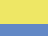653-Yellow/Blue