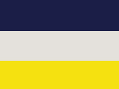 288-Navy/Oyster/Yellow