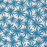 Blue flowers / Natural