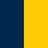 Navy_Yellow