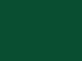 Fan Dark Green