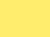 603-Bright Yellow