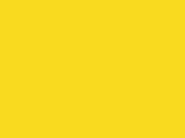 600-Bright Yellow
