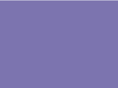 348-Aster Purple