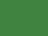 506-Fluorescent Green