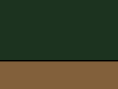 554-Forest Green/Taupe