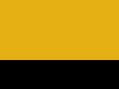 666-Sport Yellow/Black