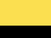 667-Yellow/Black