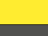 600-Yellow/Graphite Grey