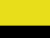 657-Fluorescent Yellow/Black