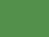 502-Vivid Green